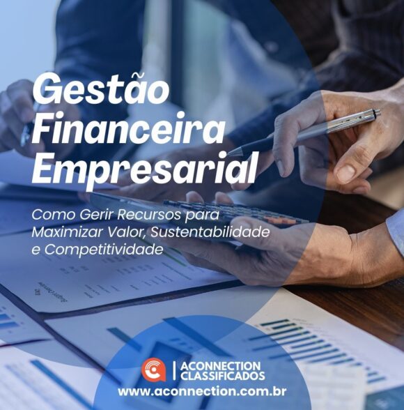 Gestão financeira empresarial: Como gerir recursos para maximizar valor, sustentabilidade e competitividade